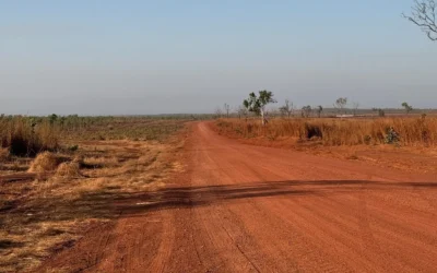 Land Watch in the Territory: A Journey through the Top End
